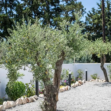 Villa Meraki *